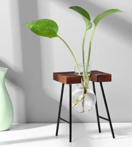 Glass Wood Vase Table Desktop Hydroponics Plant Stationery Bonsai