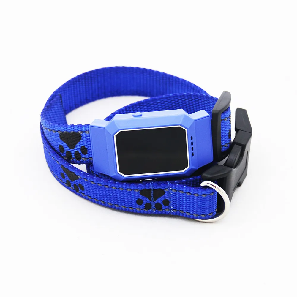 Pet collar locator - Blue
