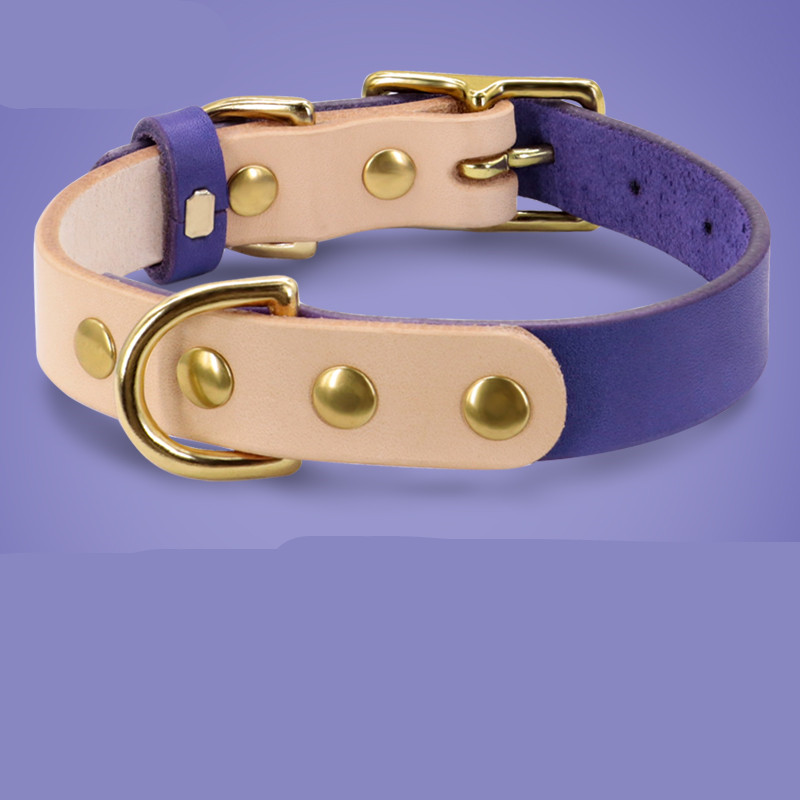 Purple Single collar