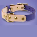 Purple Single Collar