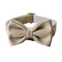 Bow Dog Pen