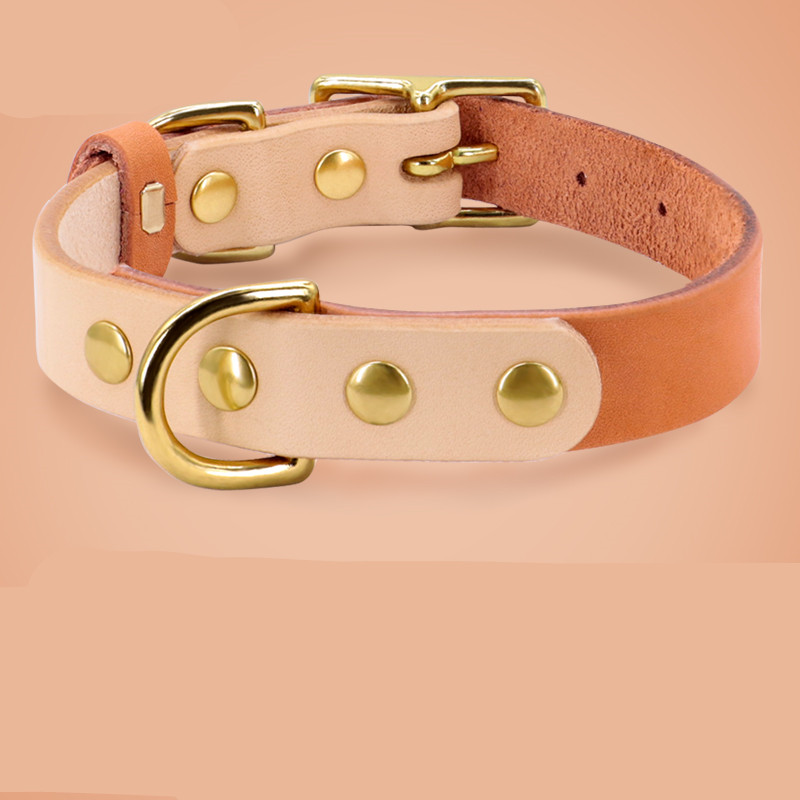 Orange Single collar