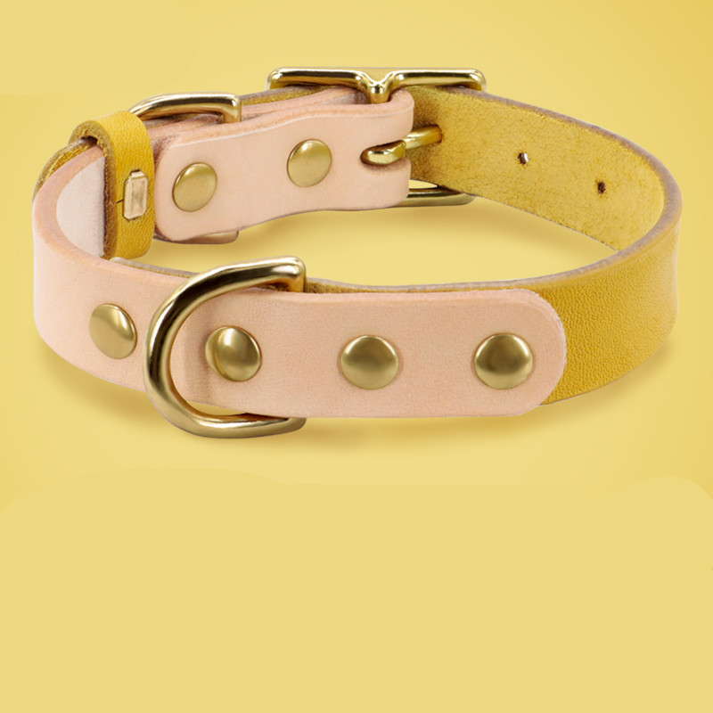 Yellow Single collar