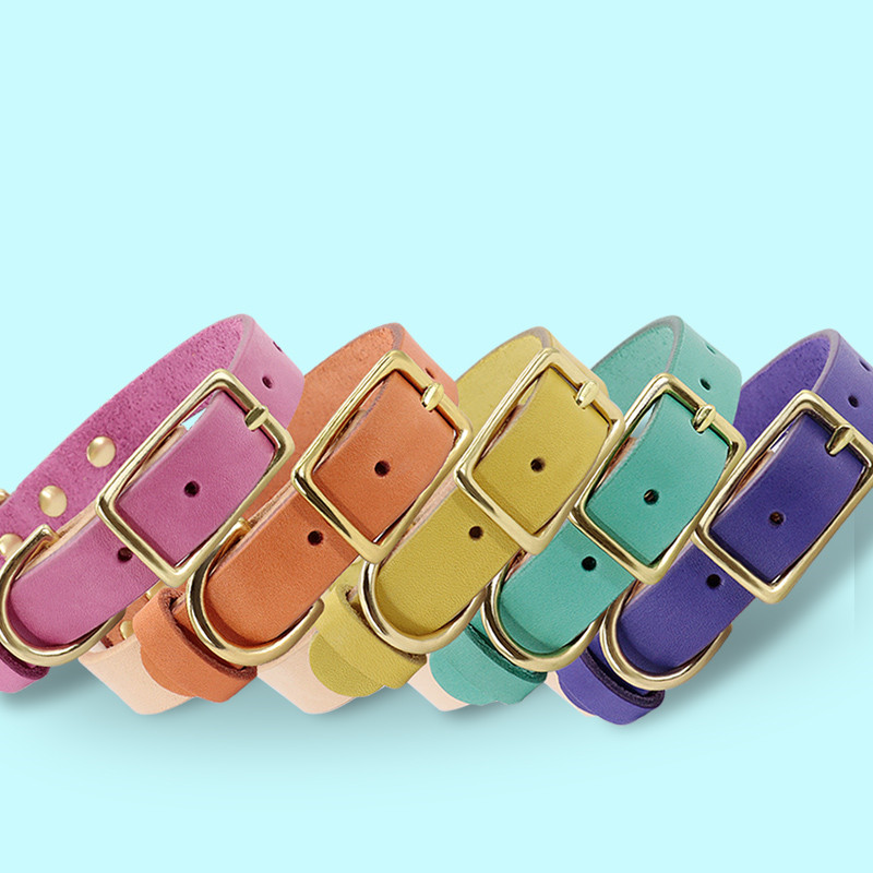 Leather Cat Collar