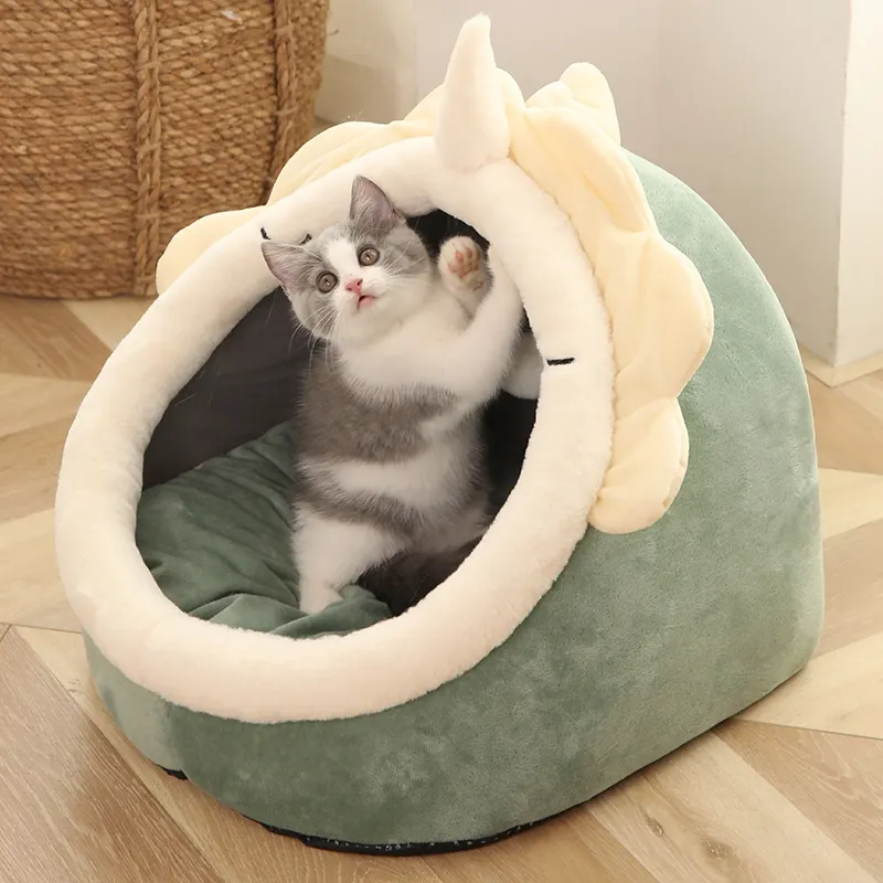 Four Seasons Universal Cat House Villa Home