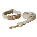 Dog Leash Suit