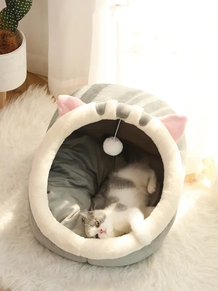 Four Seasons Universal Cat House Villa Home