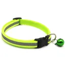Fluorescent Green