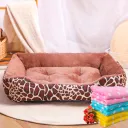 Coffe+Rug