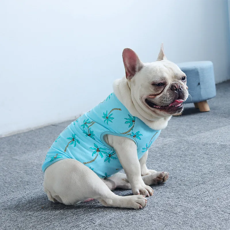 Pet clothes dog clothes summer thin cat Teddy - Blue