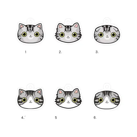 Cat Name Brand Customized Identity Card Bell