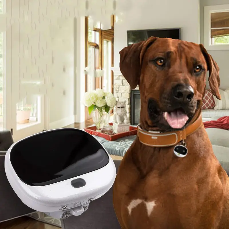 Mini Cat Anti-Loss Tracker Quickly Locate Pet