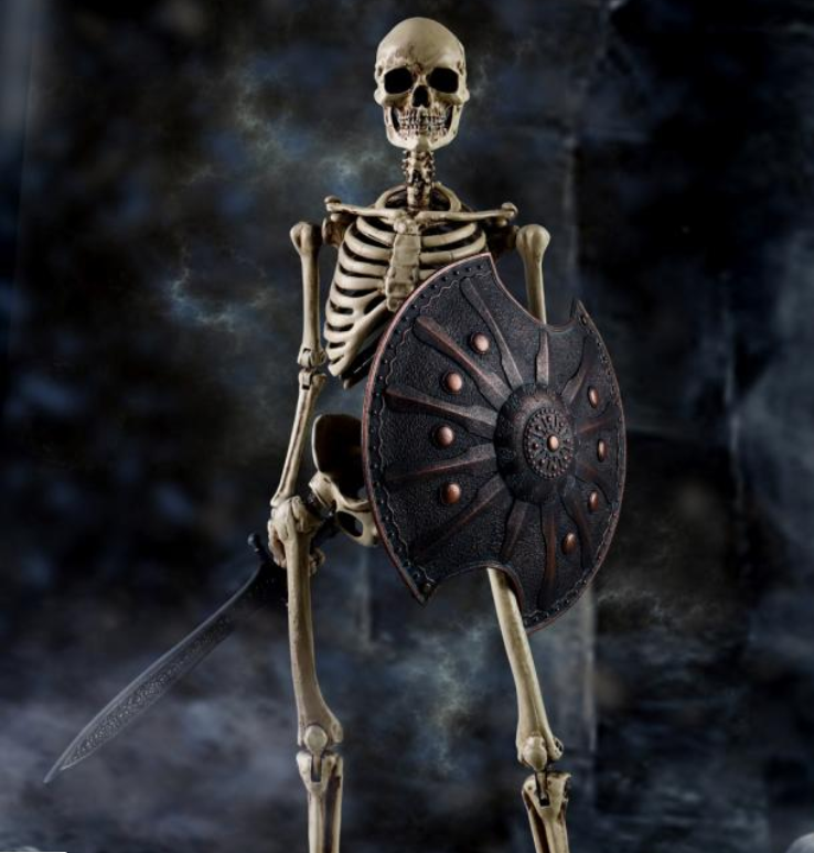 Mini skeleton model (As shown)
