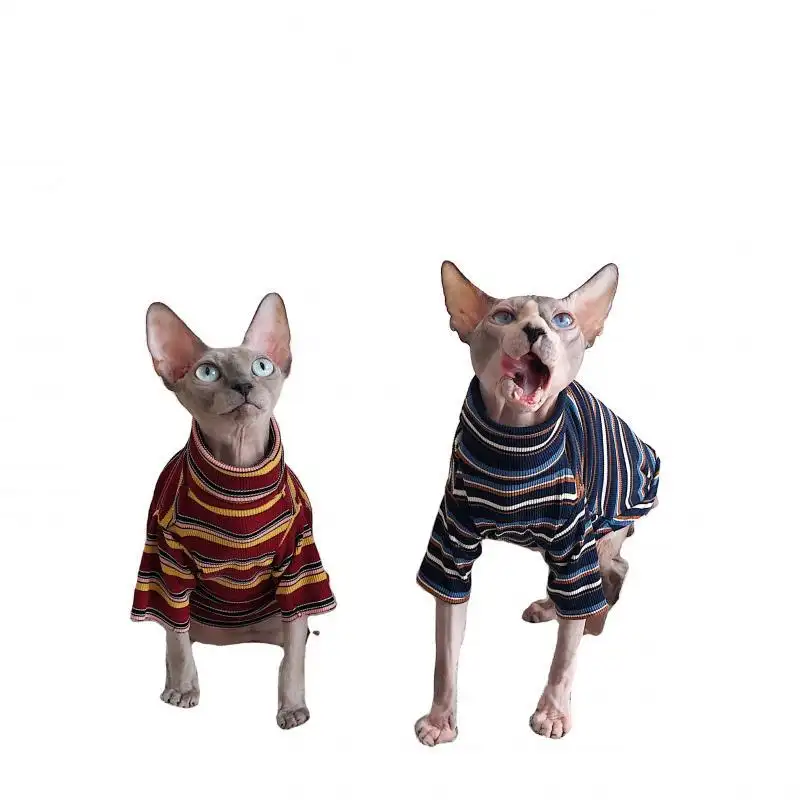 Retro couple pet clothes cute trendy brand