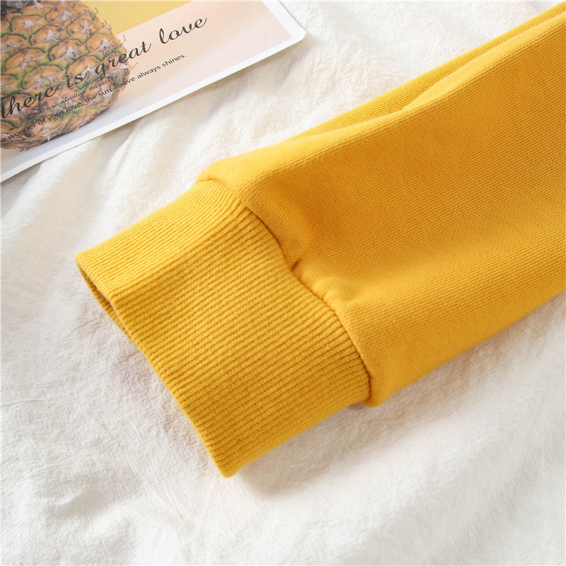 Thin plus fleece thick sweater