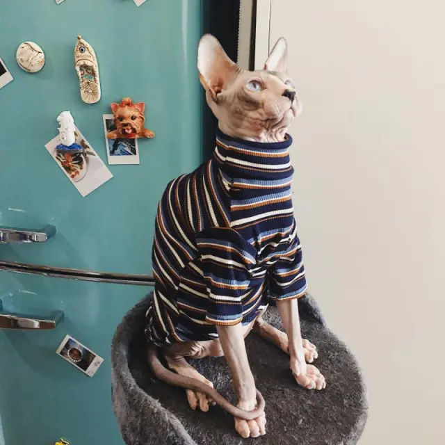 Retro couple pet clothes cute trendy brand Dark Blue Thicken - Shop at LoveMi