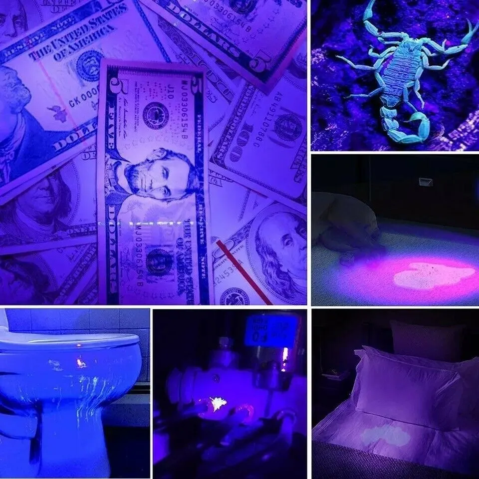 Multifunctional Counterfeit Detector UV LED Flashlight – image 3