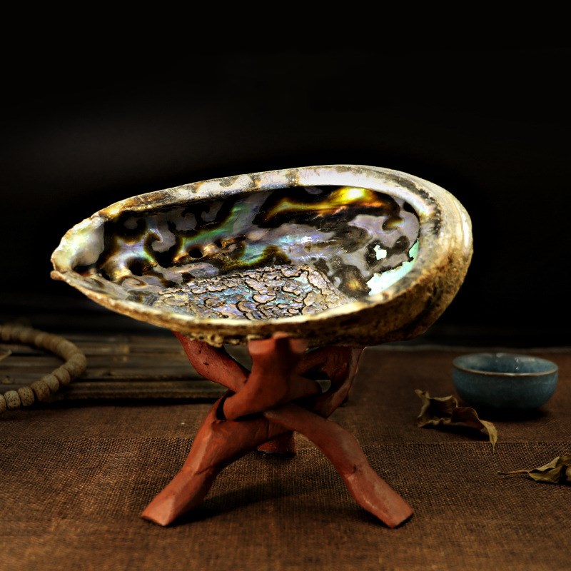 Abalone shell and Bracket