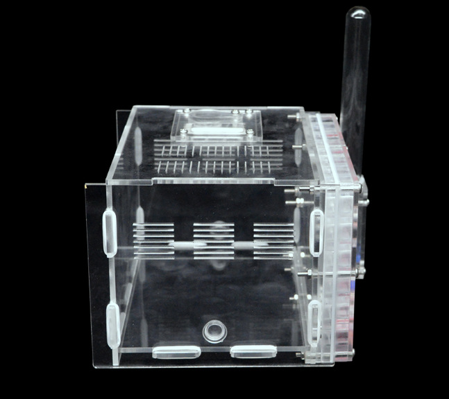 Diwang 3rd Generation Castle Acrylic Workshop Pet Ant Nest