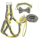 Grey Yellow