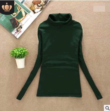 Autumn and winter high collar plus velvet long-sleeved T-shirt female warm women's bottoming shirt women's T-shirt warm clothing