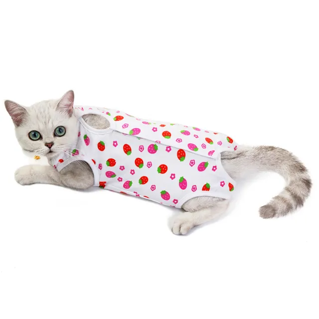 Pet cotton breathable physiological clothes Strawberry - Shop at LoveMi