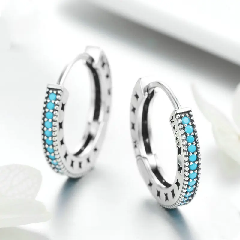 Little sparkle S925 sterling silver earrings