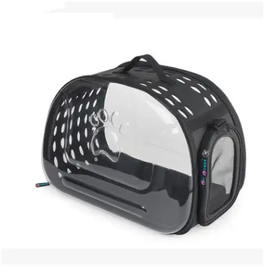 Net red pet handbag