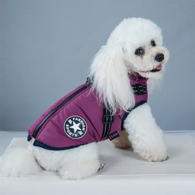 Pet Dog Clothes For Small Dogs Winter Warm Dog Hooded Coat Jackets Chihuahua Pug Outfits Puppy Cat Clothing Purple - Shop at LoveMi