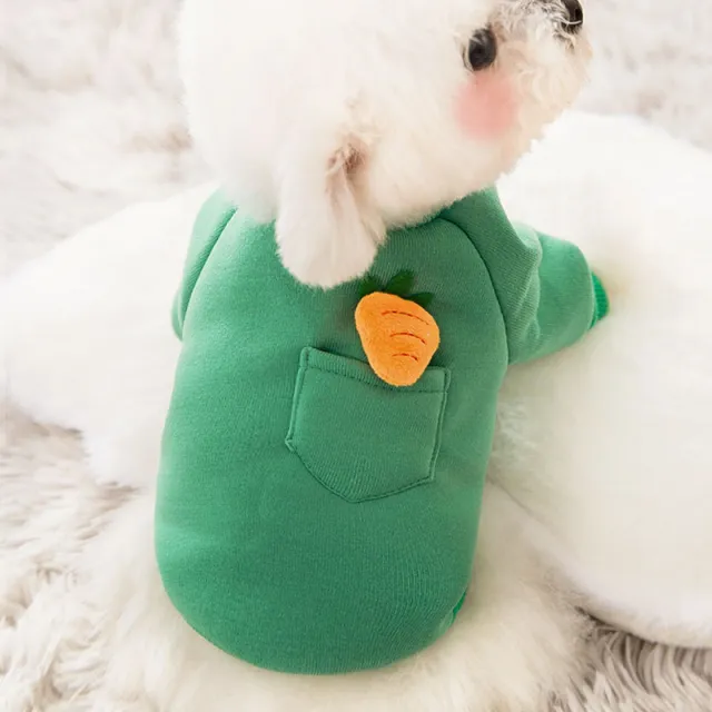 Pocket radish doggie clothes for autumn and winter Green - Shop at LoveMi