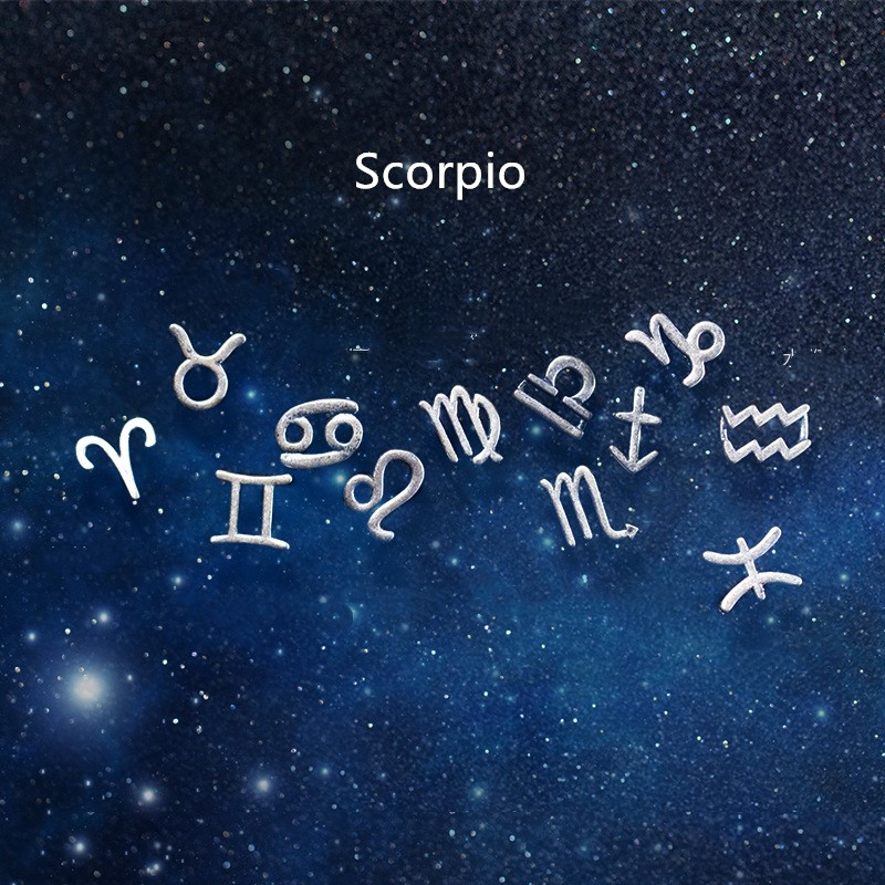 12 constellation earrings simple wishing earrings earrings