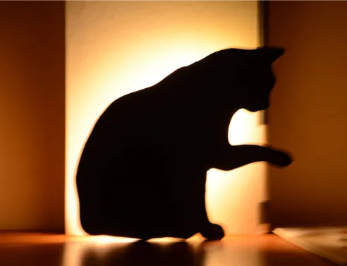LED Animal Dog Cat Shape Night Light Sensor Control Smart Sound Wall Lamp Home Corridor Balcony Night Lamp Baby Kids Sleep Lamps – image 4