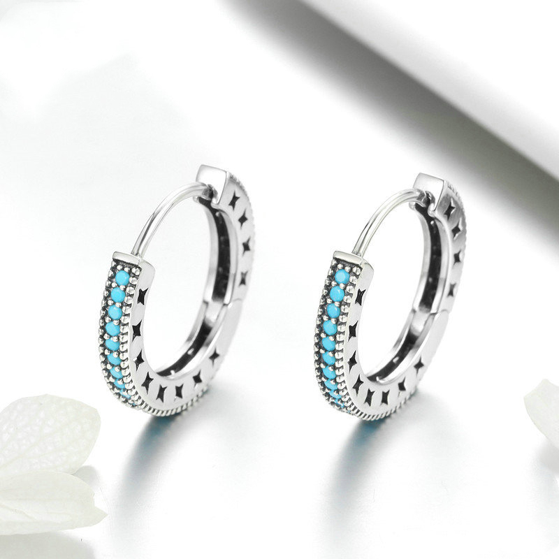 Little sparkle S925 sterling silver earrings