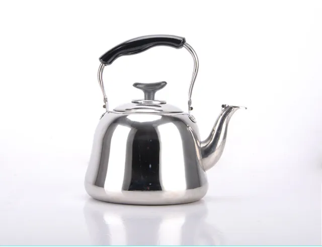 arge capacity tea kettle Non magnetic kettle classical plus soup pot stainless steel teapot with strainer Without Filter - Shop at LoveMi