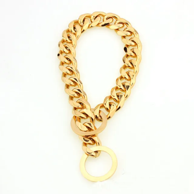 Stainless Steel Pet Casting Coarse Traction Chain Gold - Shop at LoveMi