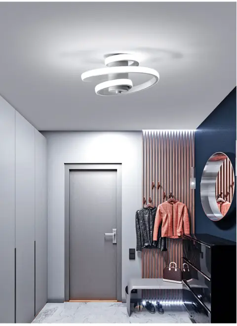 Simple and Modern Metal Led Lighting Ceiling Light