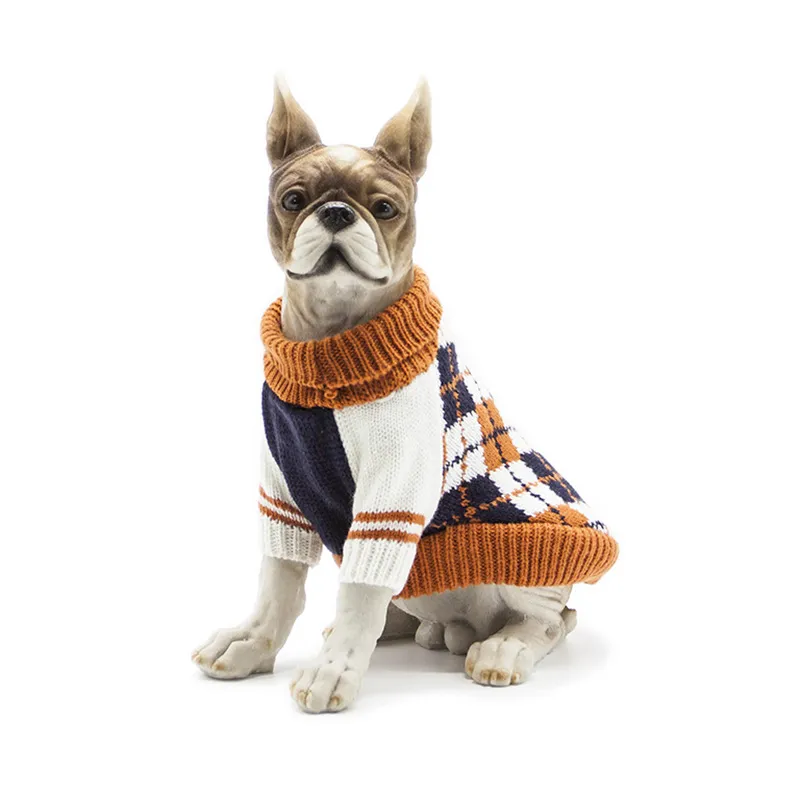 Cat and dog clothes are hot on - Turmeric