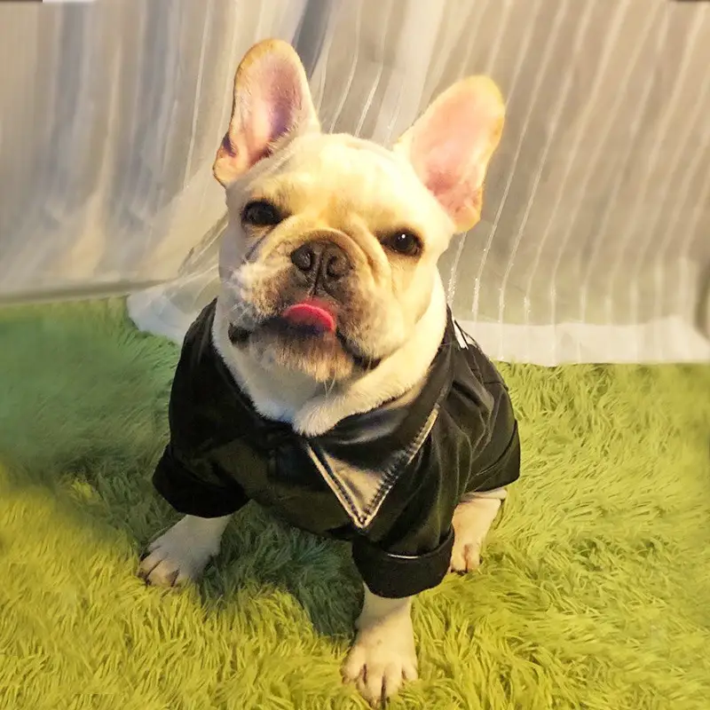 Dog clothes two feet tide brand plus velvet to keep warm