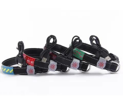 LED Light Collar Pet