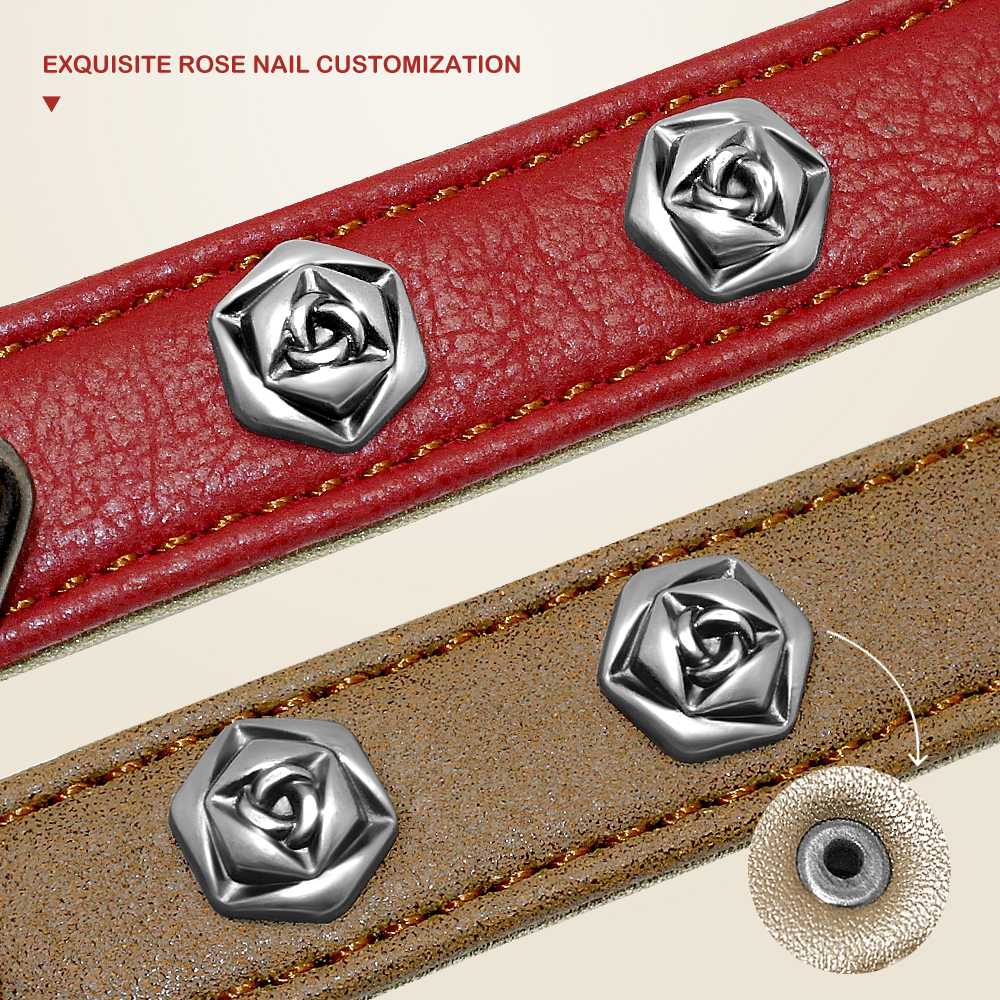 Pet leather collar