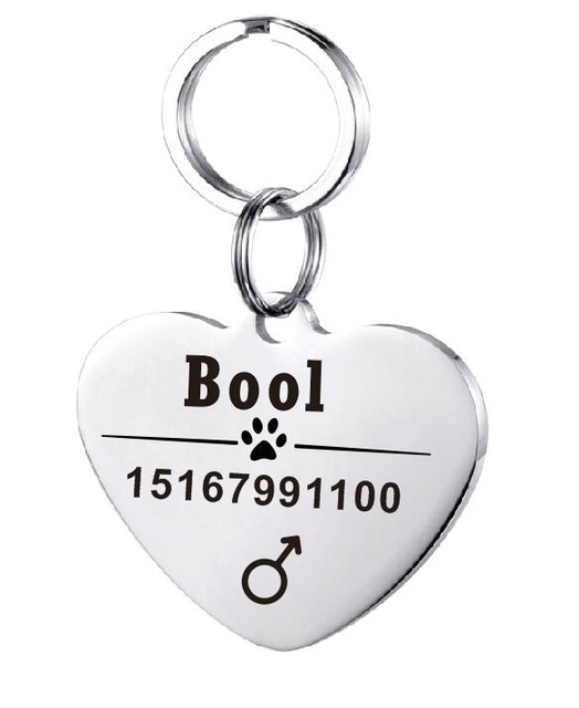 Personalized Dog ID Tag Stainless Steel Pet ID Tag Silver - Shop at LoveMi