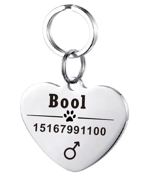 Personalized Dog ID Tag Stainless Steel Pet ID Tag Silver - Shop at LoveMi