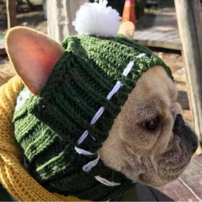Anglo-FrenchBulldog Pug Funny Hat