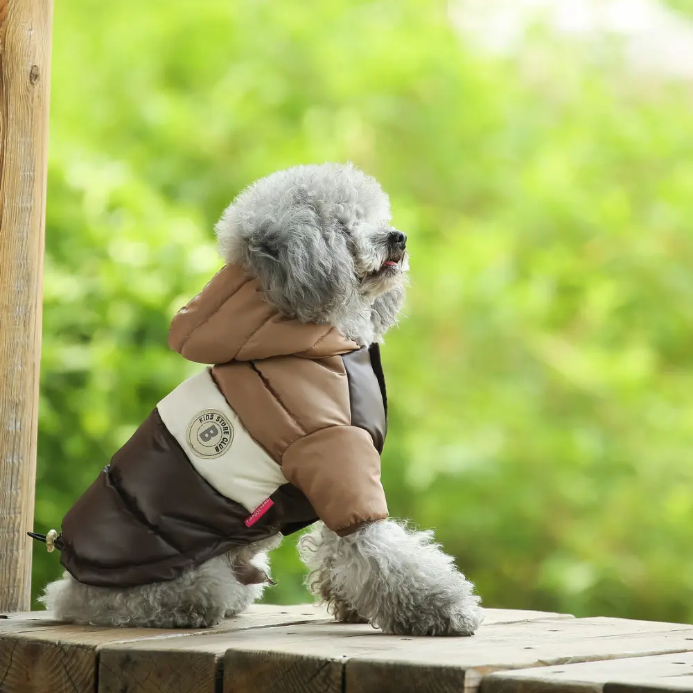 Two-Legged Cotton-Padded Clothes Multi-Color Optional Dog Warm Outdoor