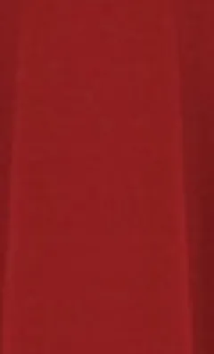 Solid colour A-line skirt - Red - View 1