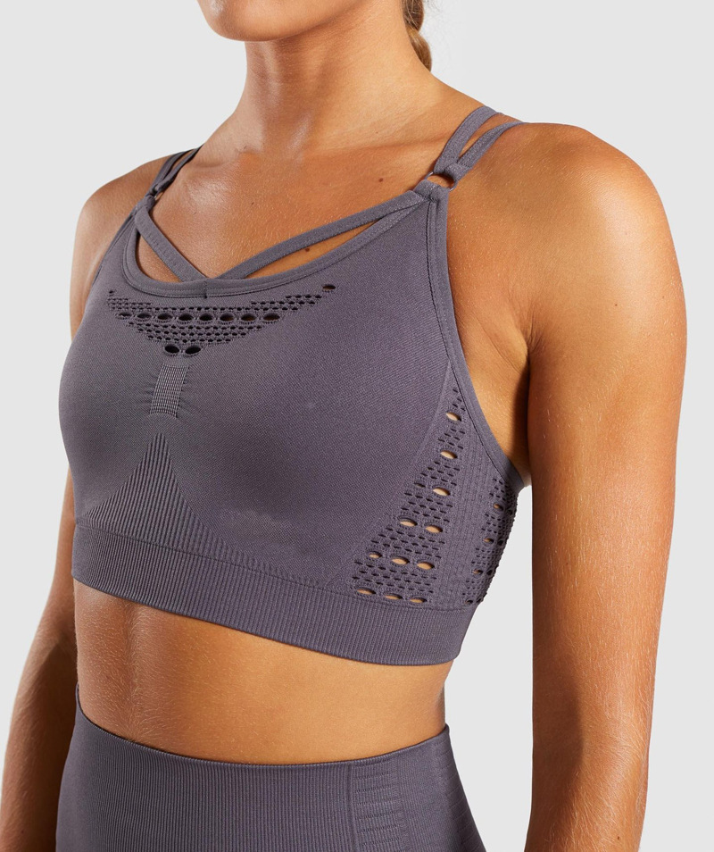 Shark bra sports underwear