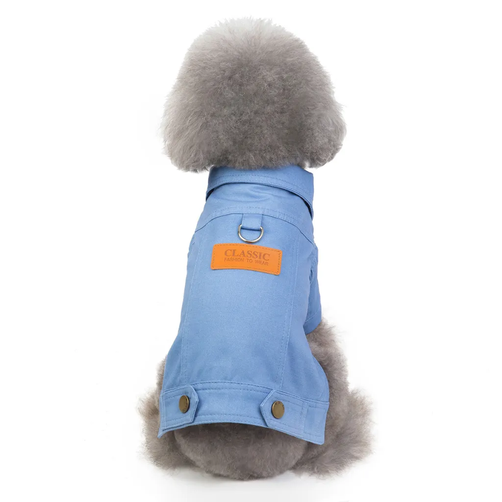 Pet kittens, dogs, clothes - Blue