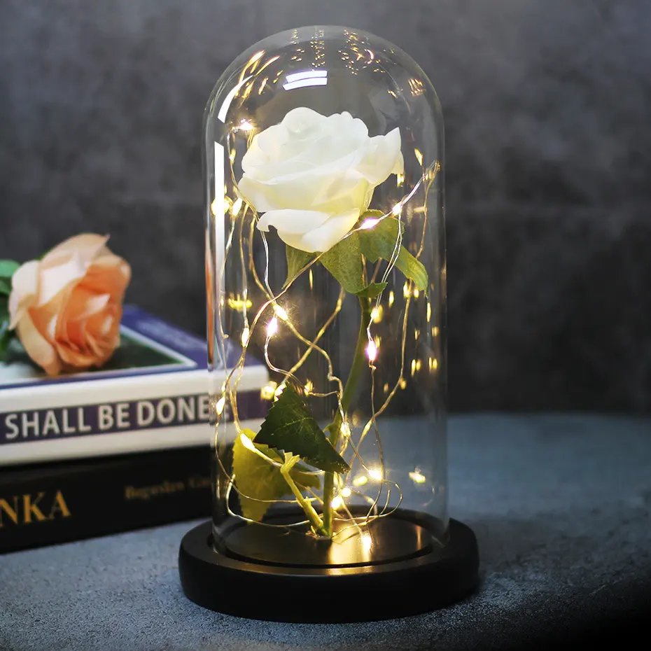 Enchanted Forever Rose Flower in Glass LED Light Christmas