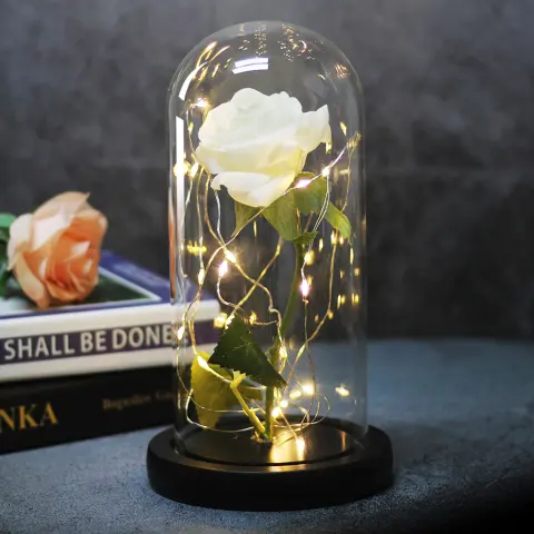 Enchanted Forever Rose Flower in Glass LED Light Christmas