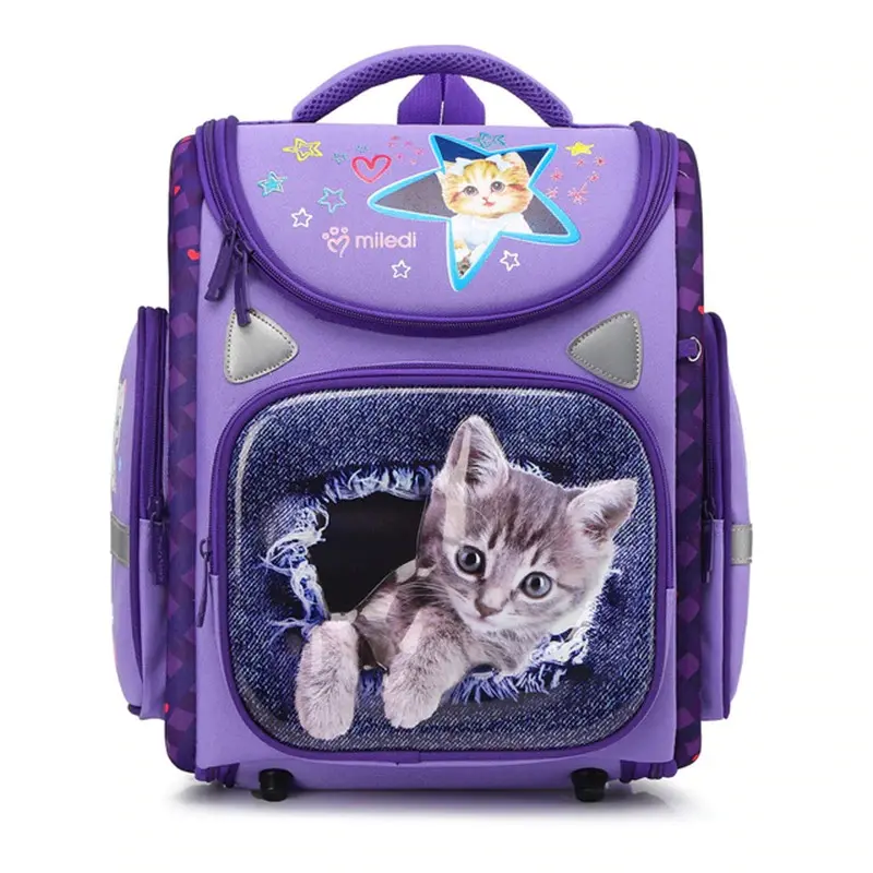 Folding Space Bag Primary School Schoolbag